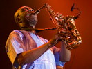 Manu Dibango (Couleur Café 2007)