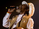 Bunny Wailer (Made in Jamaica)