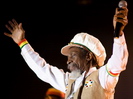 Bunny Wailer (Made in Jamaica)