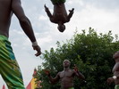 Circus Baobab (Sfinks Mixed 2008)