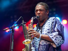 Femi Kuti (Couleur Café 2010)