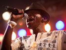 Mokoomba (Couleur Café 2010)