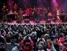 Kassav' (Openluchttheater Rivierenhof) — foto © Yourt