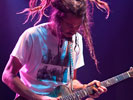 SOJA (Couleur Café 2011)