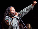 Ziggy Marley (Couleur Café 2011)