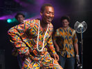 Ebo Taylor (Afro-Latino festival 2013)