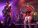 Jupiter & Okwess International (Wereldfeest Leuven 2014)