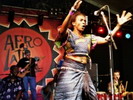 Dzidzolie op Afro-Latino festival 2006