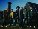 The Roots