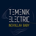 Temenik Electric