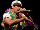 Ozomatli (Afro-Latino festival 2008)