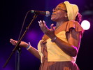 The Garifuna Umalali project (Sfinks Mixed 2008)